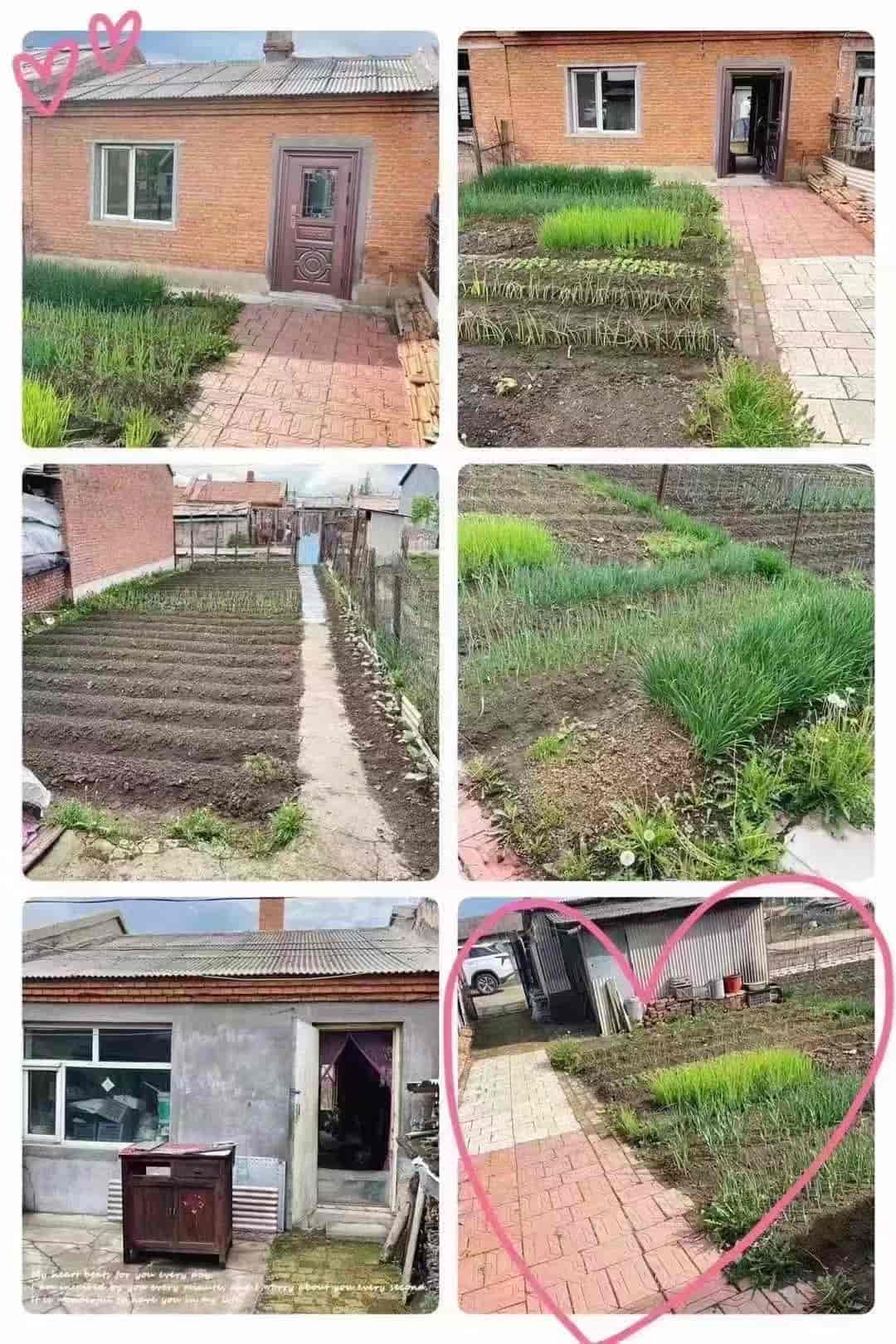 远离市区的喧闹[强] 自家五道岗平房，前后两个菜