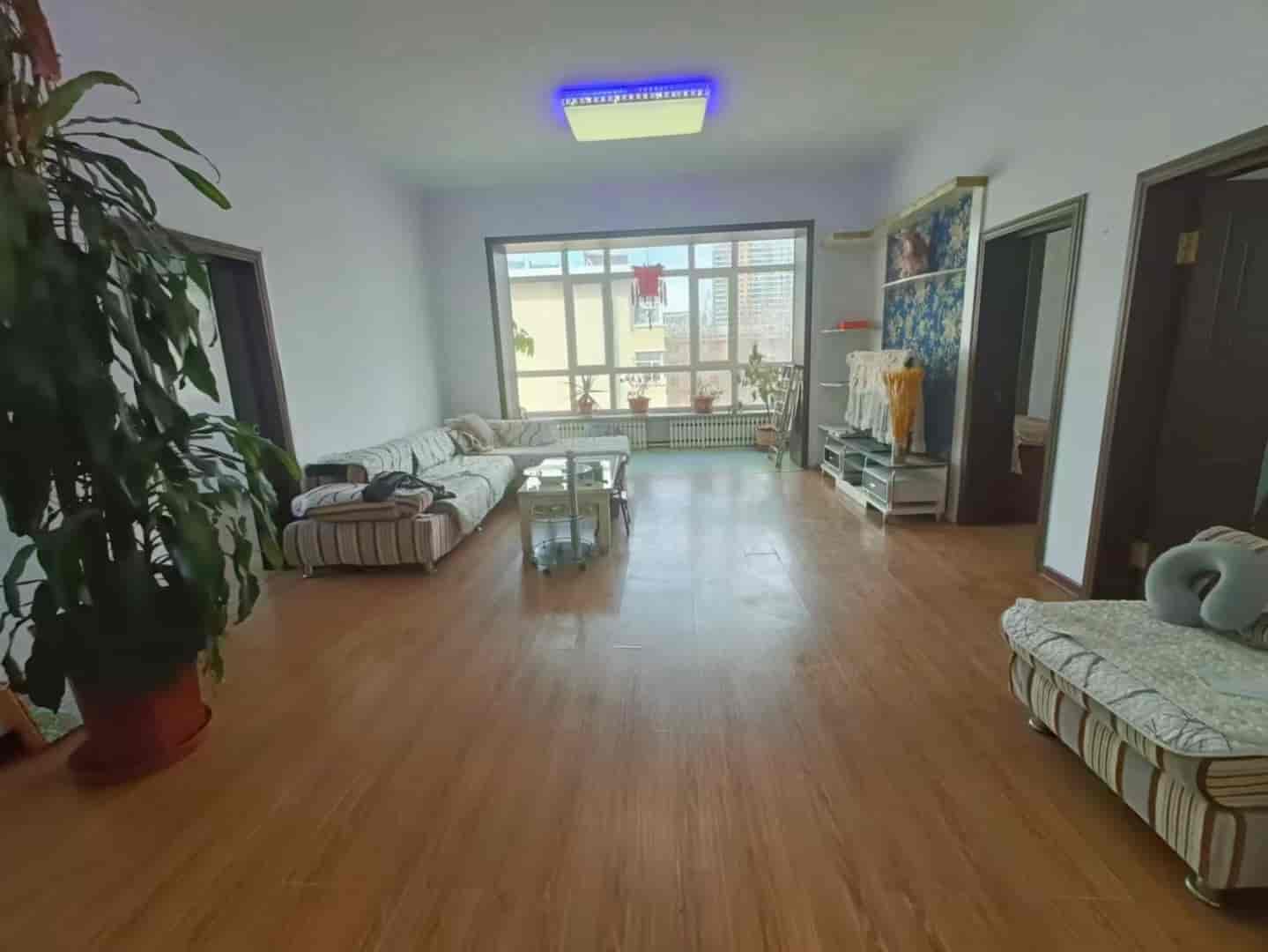 工农区48委四中学区，空学籍，陪读首选 鹤岗一中对面，​新南小区4楼64平15.5万，本满五唯一 ​年租9000