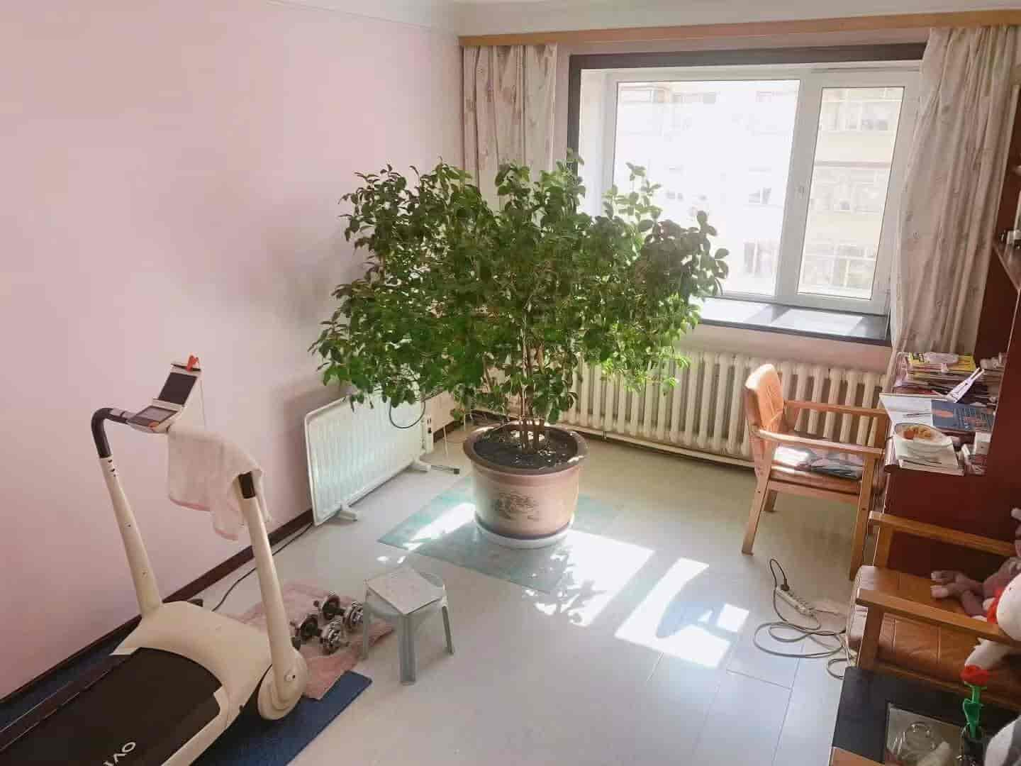 学区房急卖， 新鹤B区，147平方米，四楼 45万